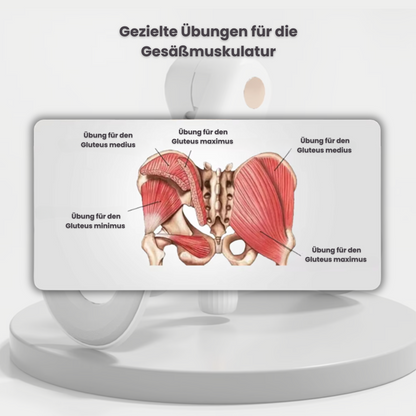 MotionX – minimale Zeit, maximale Ergebnisse!