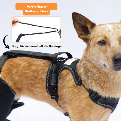PawPort - Für schmerzfreie Schritte.