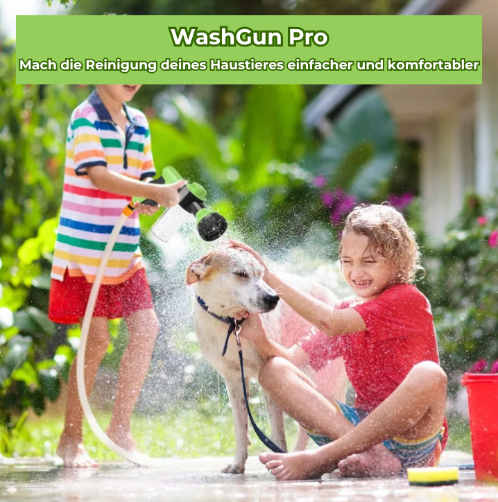 WashGun Pro - Einfach, schnell und effektiv reinigen