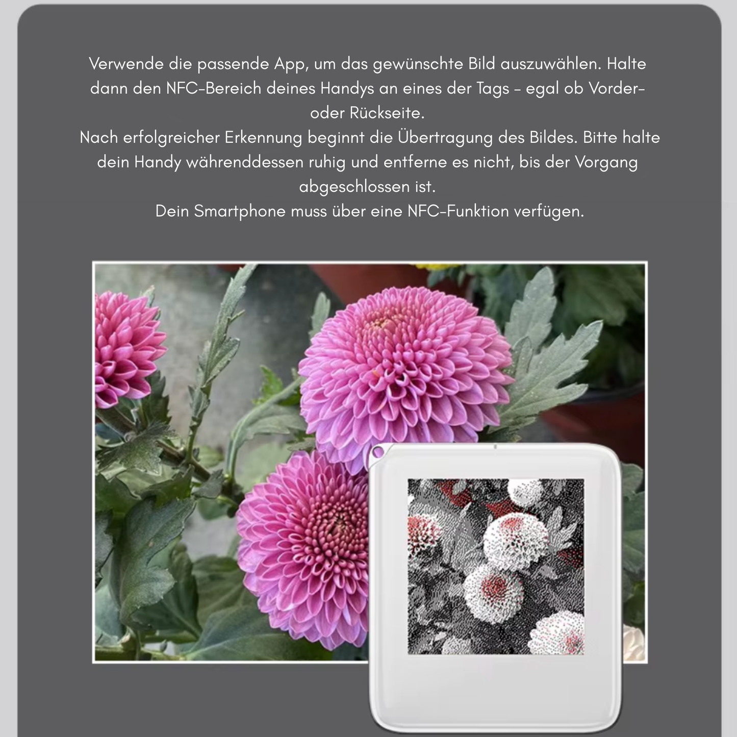 Memofy - Dein Moment. Für immer sichtbar